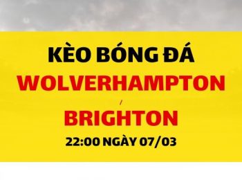 Wolverhampton – Brighton